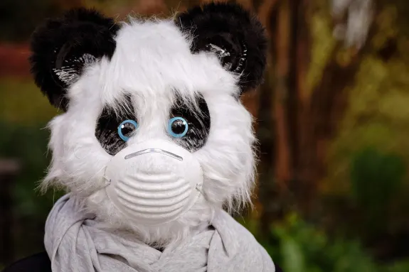 9 Casino Ondersteuning